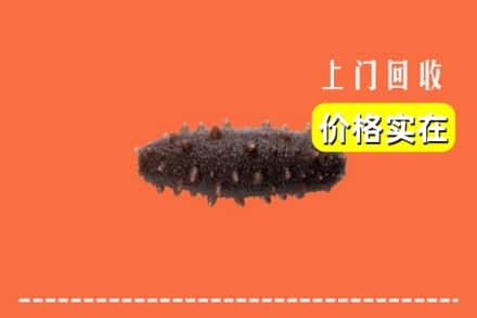 上海嘉定区回收海参