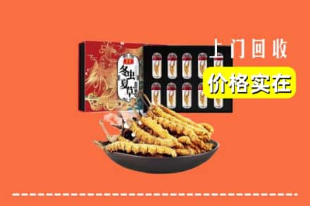 上海嘉定区回收虫草