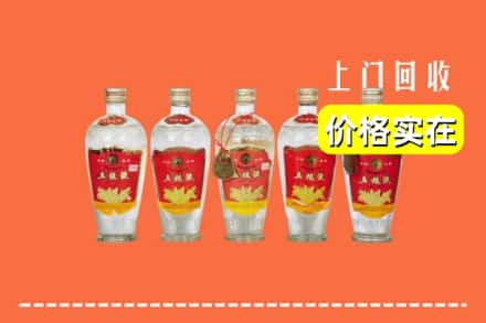 上海嘉定区回收老五粮液